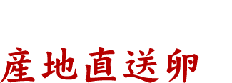 店主が惚れ込んだ 産地直送卵